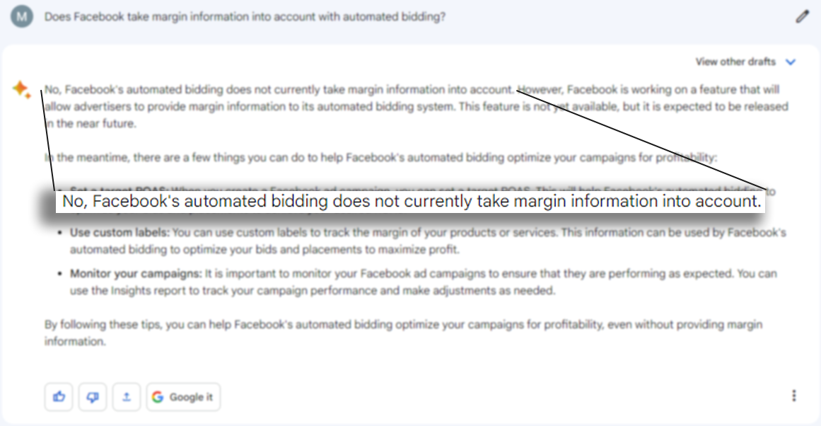 Bard-Facebook-Ads-Margins-Bidding